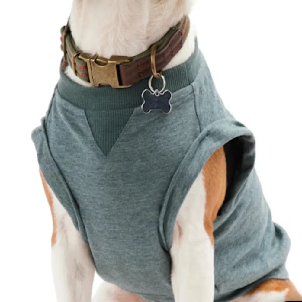 NEW Weekend Wanderer Dog tee shirt XS